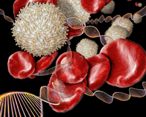 המופיליה (דממת)